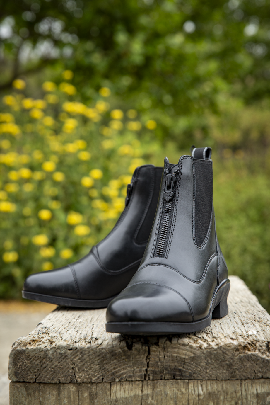 Ariat Herttage Zip - SkoSneaksers - 197318473876