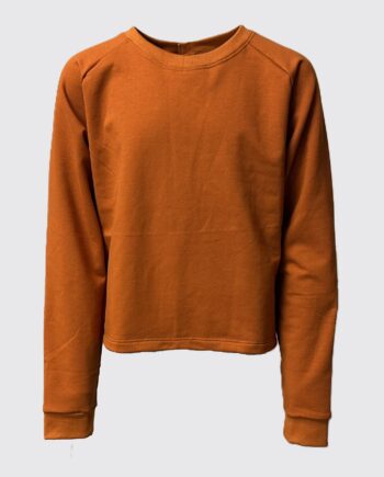 260 Mint Sweatee Shirt Med Raglanærme Ensfarvet - Daro Shirt