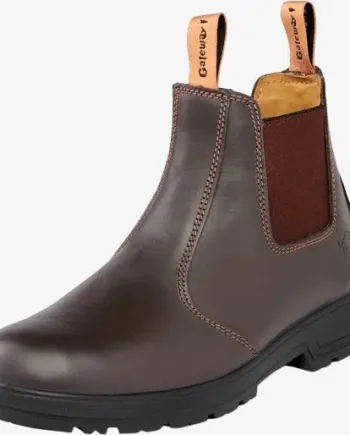 Lady Ampquot Pull Chelsea Coffee - Gateway1 SkoSneaksers