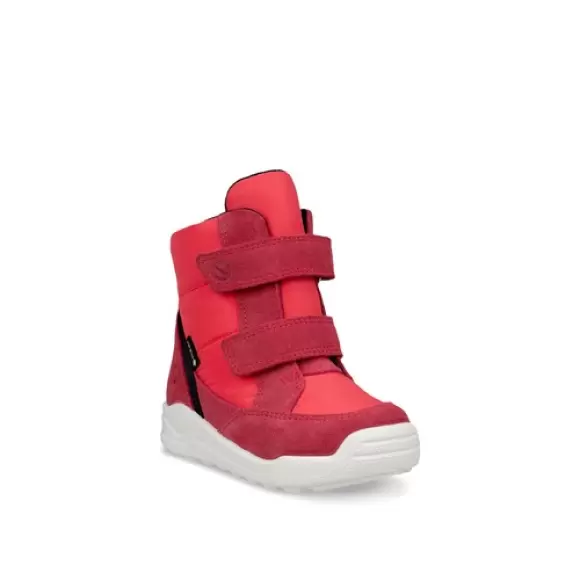 TEABERRY Ecco Urban Mini Infant High 764801 58420 - Ecco SkoSneaksers  - 194891593861